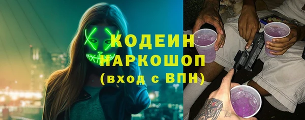 прущие грибы Балахна