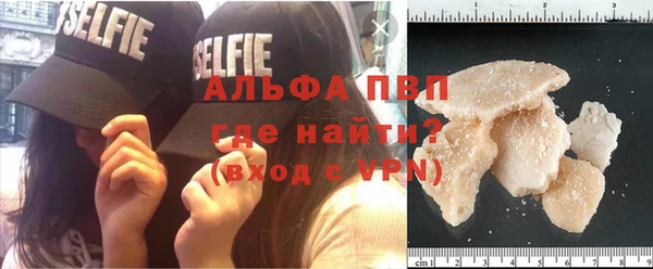 прущие грибы Балахна