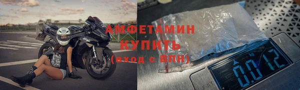 прущие грибы Балахна
