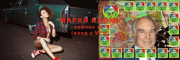 прущие грибы Балахна