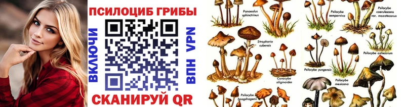 Галлюциногенные грибы мухоморы  гидра   Вяземский  где купить наркоту 